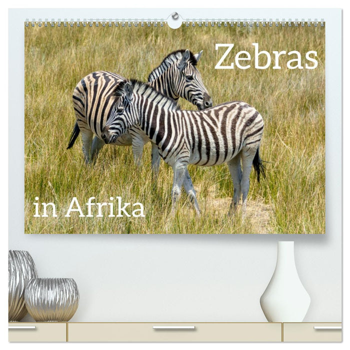 Zebras in Afrika (CALVENDO Premium Wandkalender 2026)