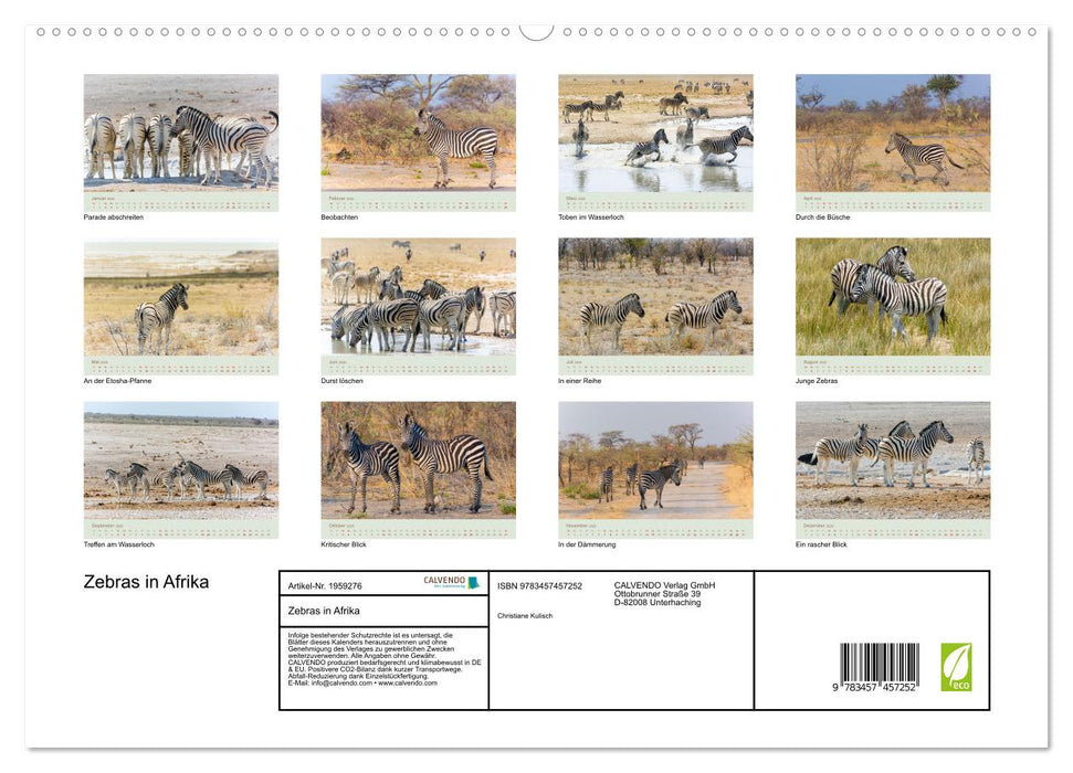 Zebras in Afrika (CALVENDO Premium Wandkalender 2026)