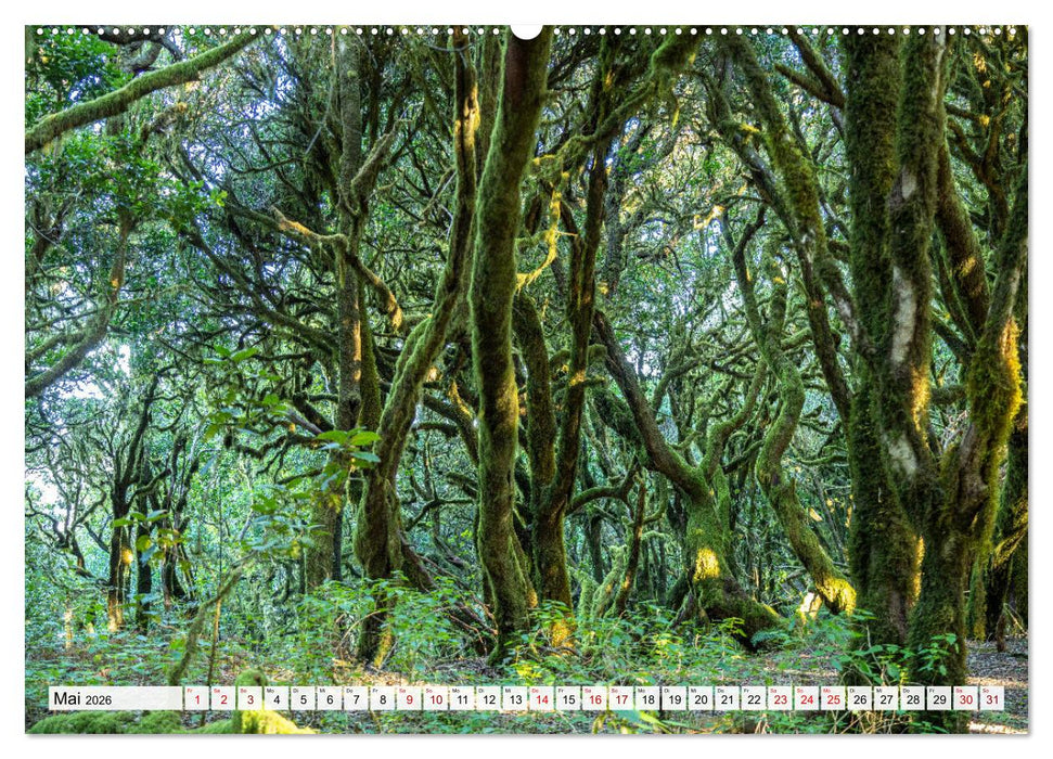 Kanarische Inseln: La Gomera (CALVENDO Premium Wandkalender 2026)