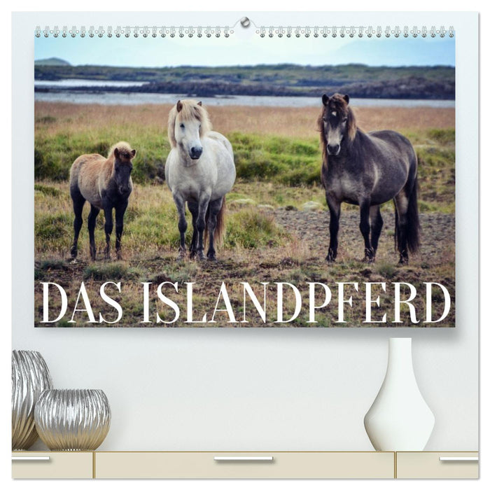Das Islandpferd (CALVENDO Premium Wandkalender 2026)