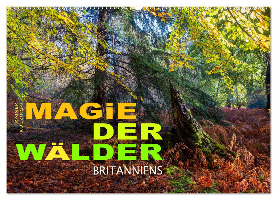 Magie der Wälder Britanniens (CALVENDO Wandkalender 2026)