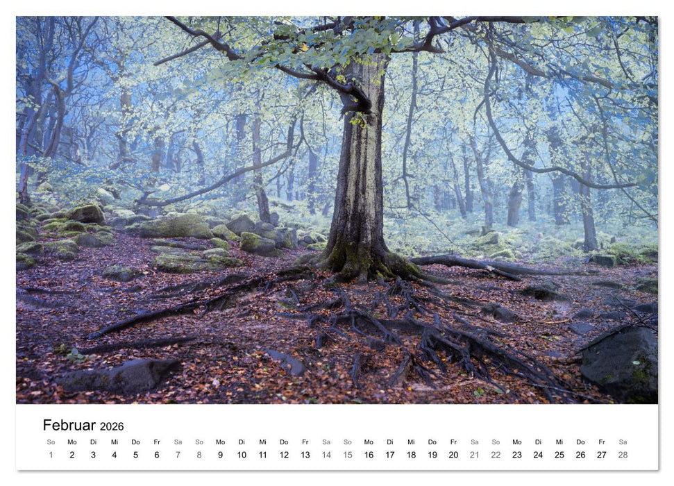 Magie der Wälder Britanniens (CALVENDO Wandkalender 2026)