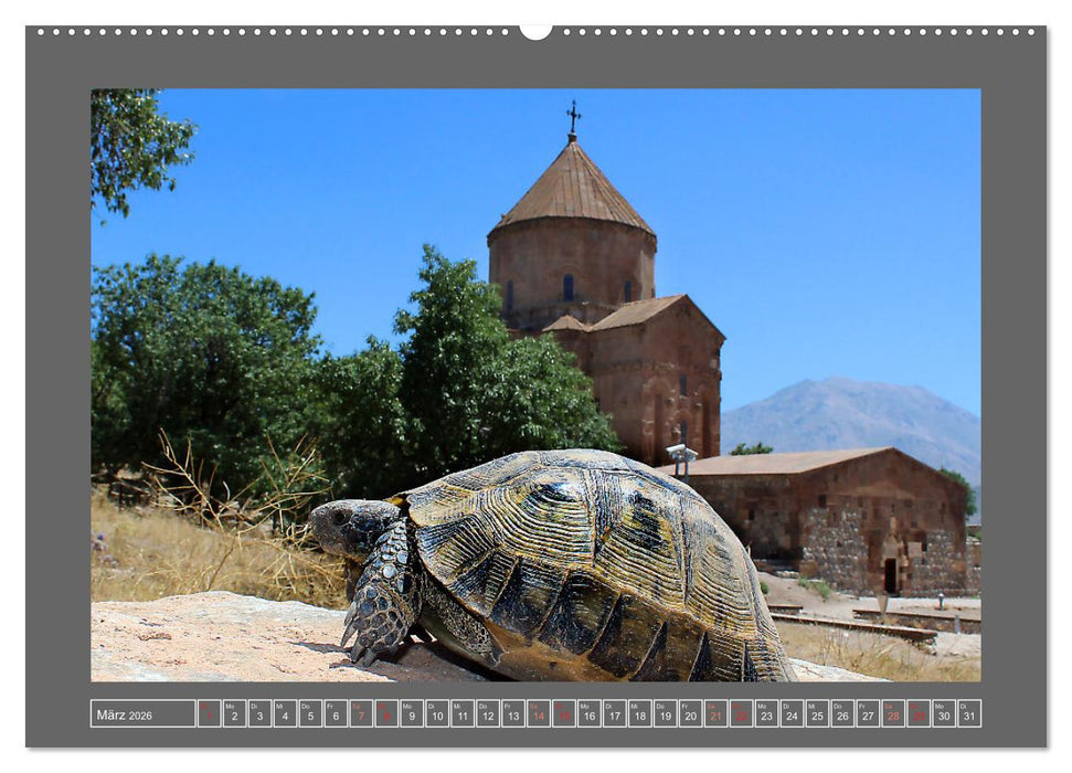 QUER DURCH DIE TÜRKEI (CALVENDO Premium Wandkalender 2026)