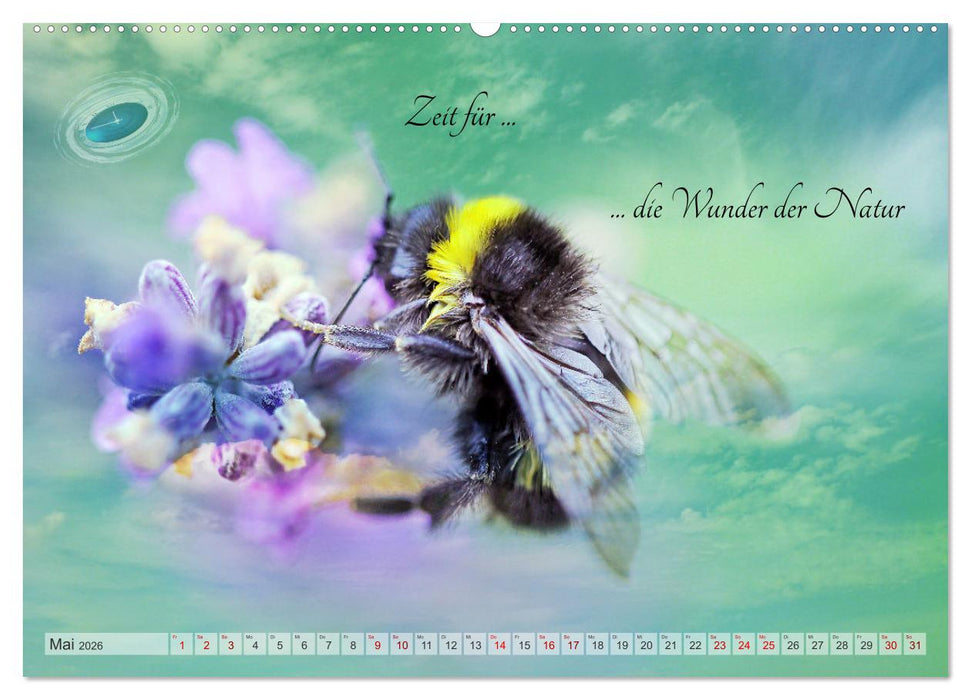 Alles hat seine Zeit - Mach Deine kleine Welt perfekt (CALVENDO Premium Wandkalender 2026)