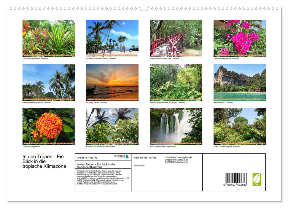In den Tropen - Ein Blick in die tropische Klimazone (CALVENDO Premium Wandkalender 2026)