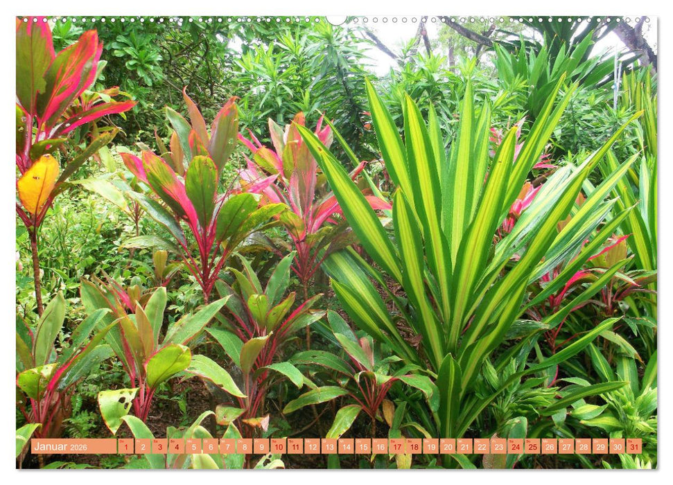In den Tropen - Ein Blick in die tropische Klimazone (CALVENDO Premium Wandkalender 2026)