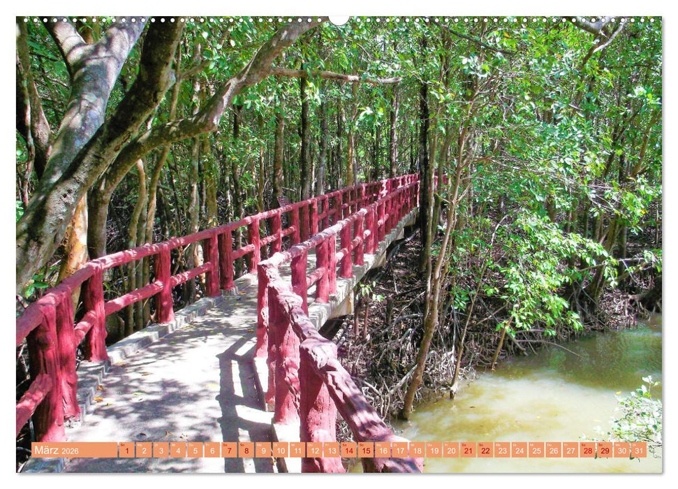 In den Tropen - Ein Blick in die tropische Klimazone (CALVENDO Premium Wandkalender 2026)