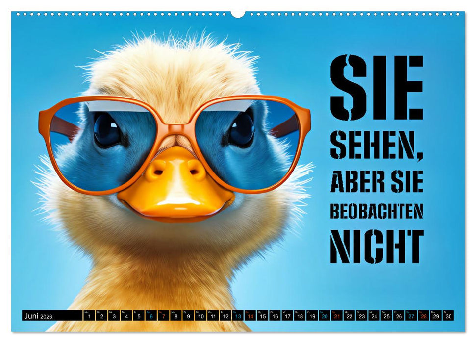 BRILLEN - coole Sprüche (CALVENDO Premium Wandkalender 2026)