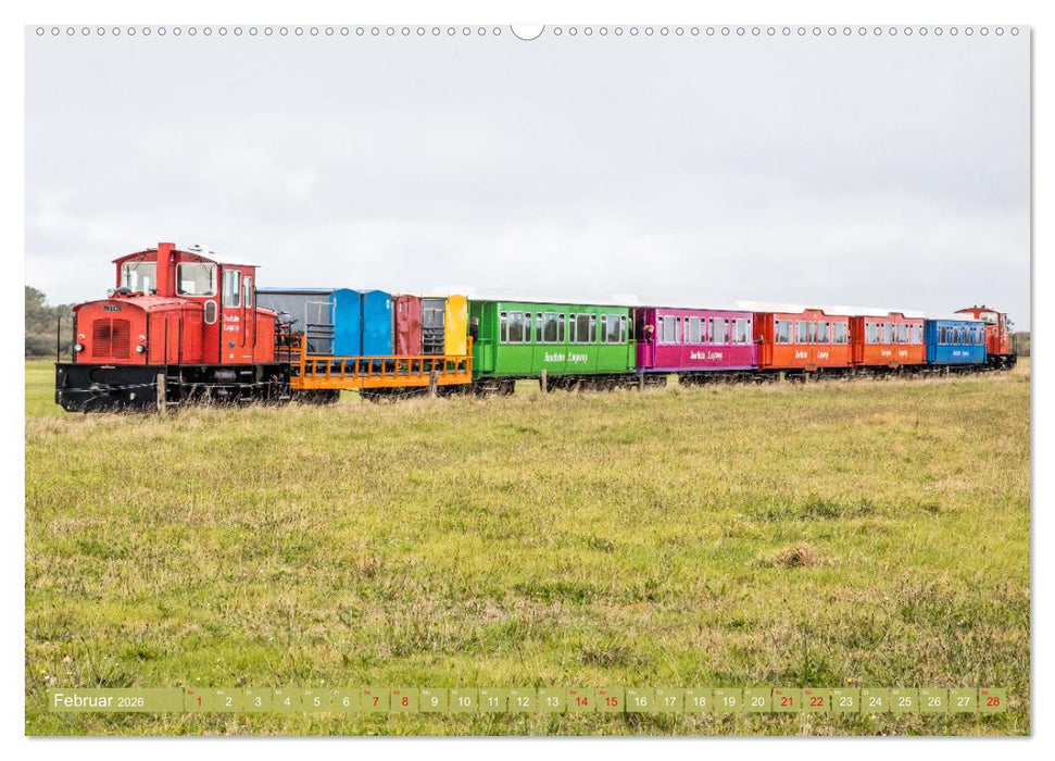 Am Strand von Langeoog (CALVENDO Premium Wandkalender 2026)