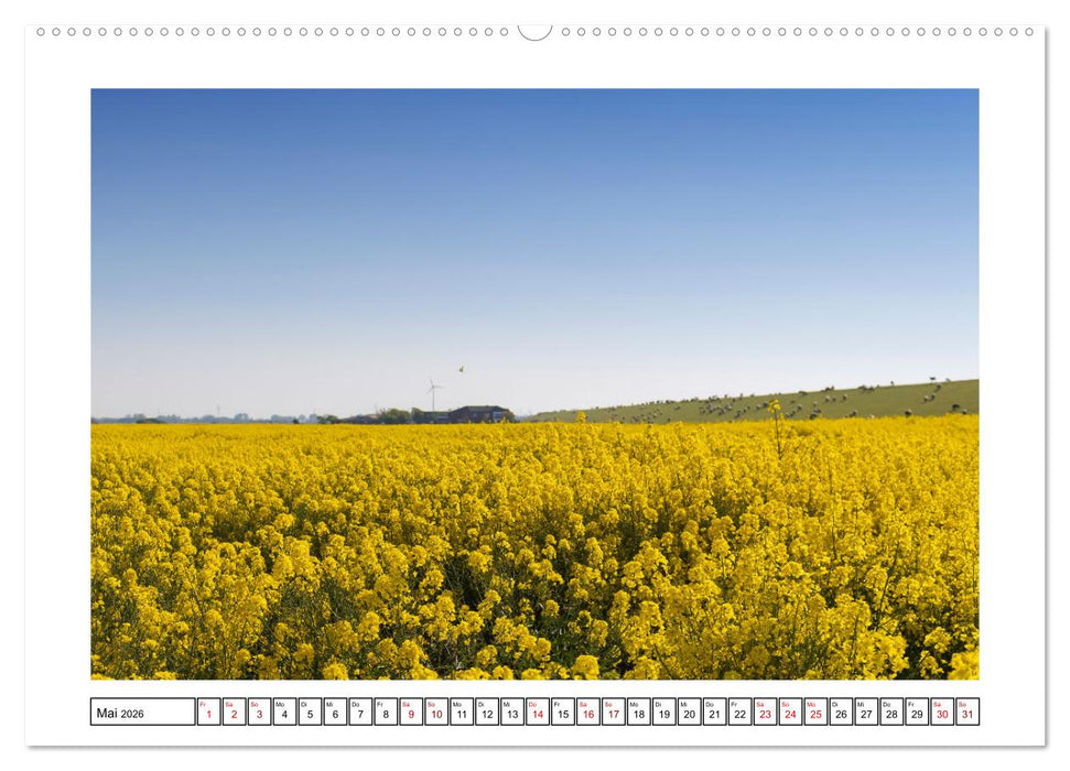 Verliebt in Norddeich (CALVENDO Premium Wandkalender 2026)