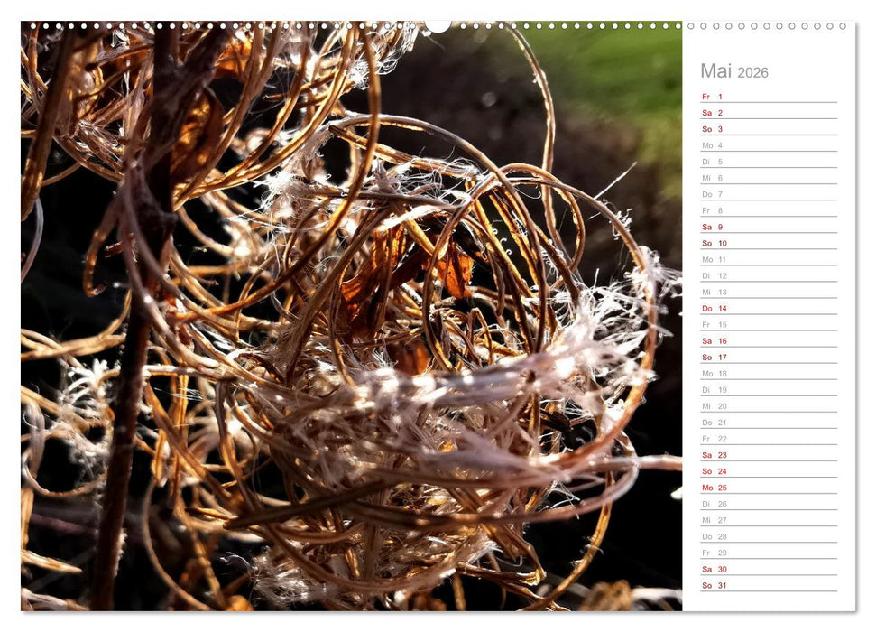 Abstrakte Umwelt (CALVENDO Premium Wandkalender 2026)