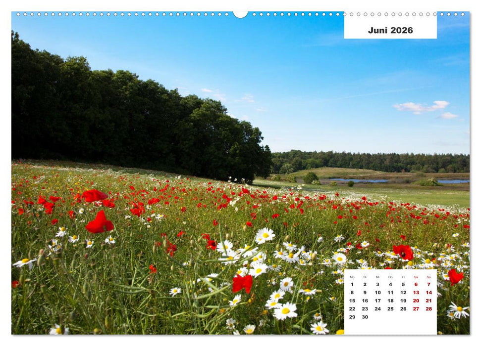 Rügen Panorama (CALVENDO Premium Wandkalender 2026)