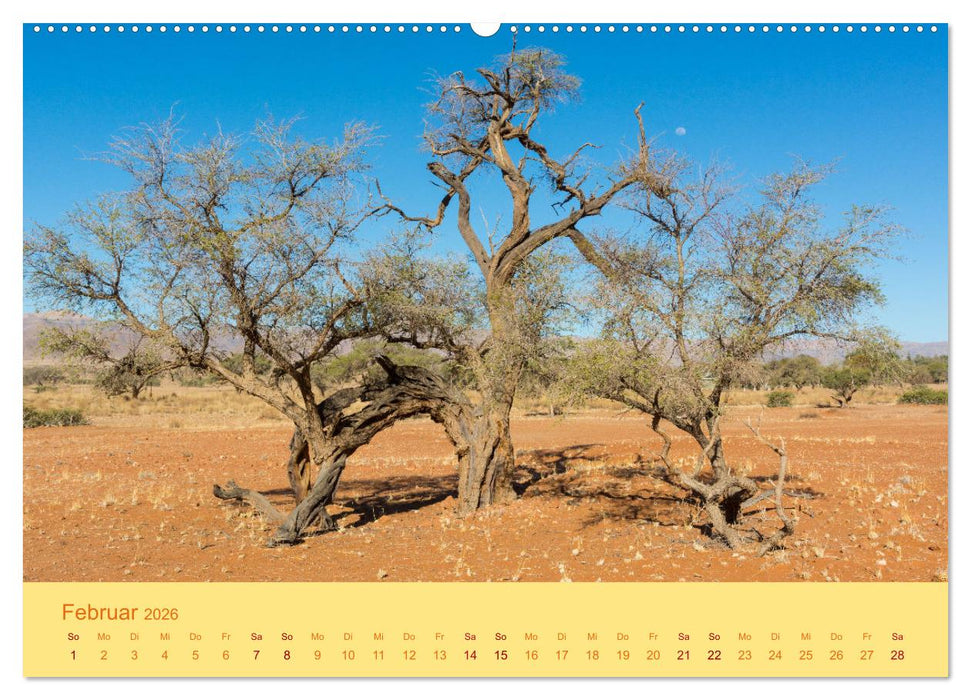 Namib Naukluft National Park - Unendliche Wüste (CALVENDO Wandkalender 2026)
