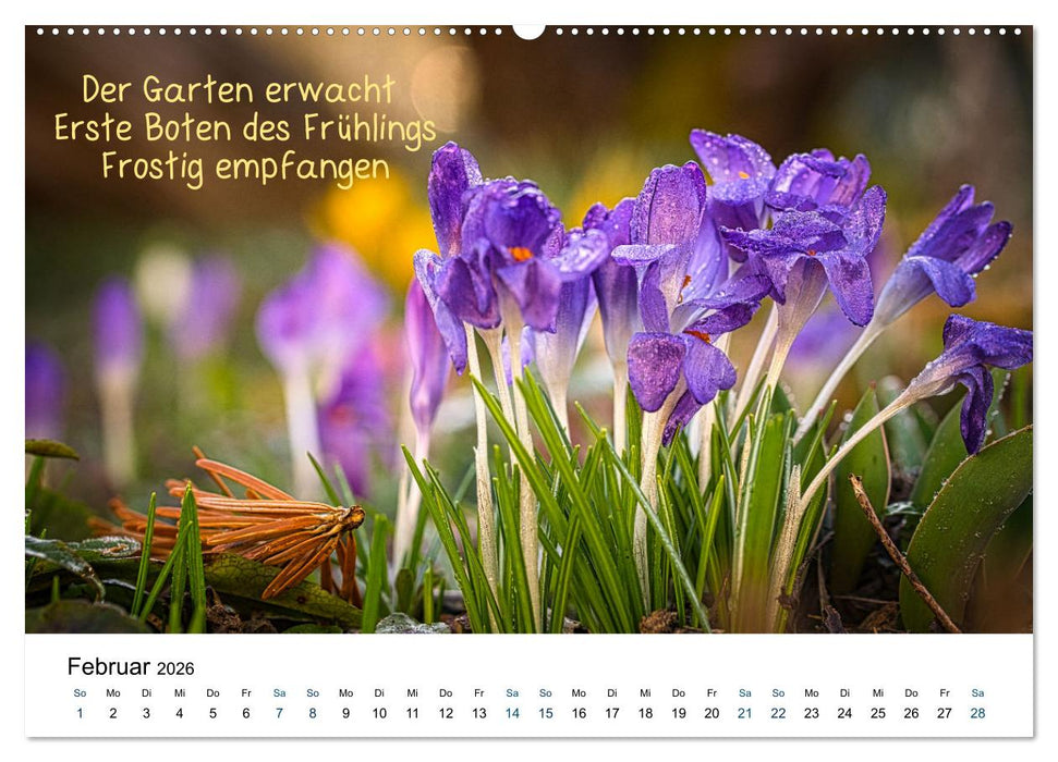 HAIKU, eine fotografische Interpretation (CALVENDO Premium Wandkalender 2026)