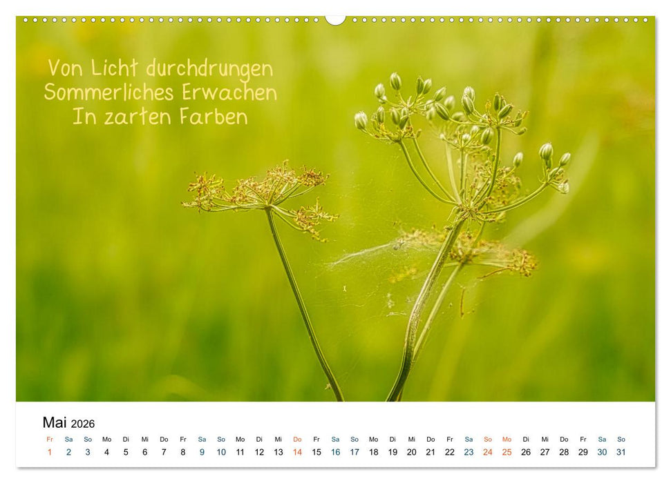 HAIKU, eine fotografische Interpretation (CALVENDO Premium Wandkalender 2026)