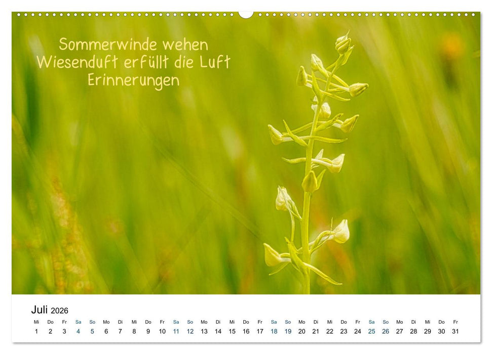 HAIKU, eine fotografische Interpretation (CALVENDO Premium Wandkalender 2026)