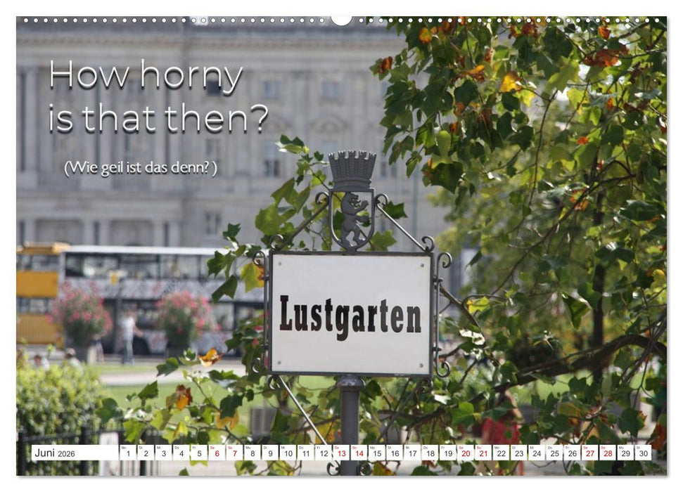 Sag es doch DENGLISCH (CALVENDO Premium Wandkalender 2026)