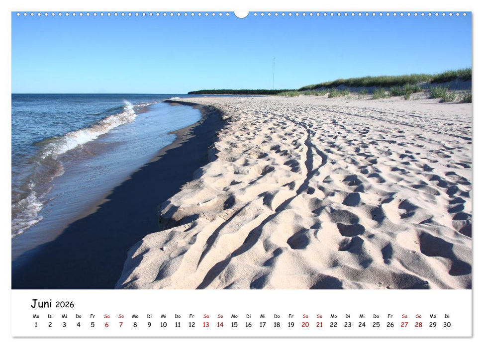Gotland Impressionen (CALVENDO Premium Wandkalender 2026)