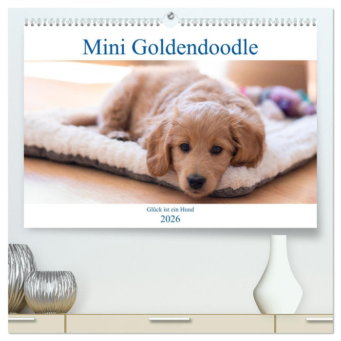 Mini Goldendoodle - Glück ist ein Hund (CALVENDO Premium Wandkalender 2026)