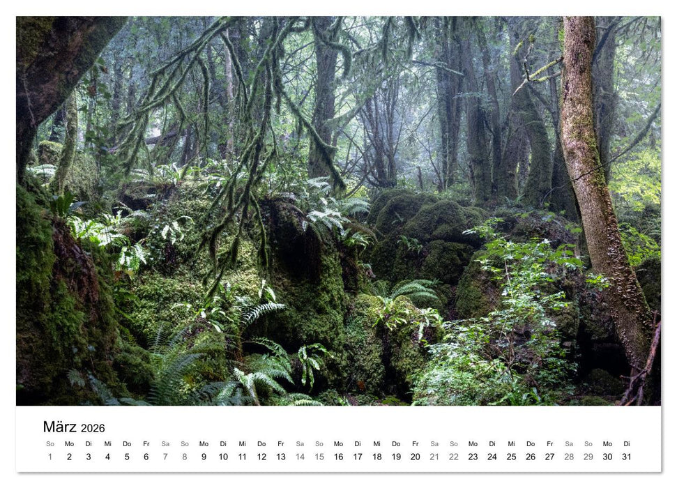 Magie der Wälder Britanniens (CALVENDO Premium Wandkalender 2026)