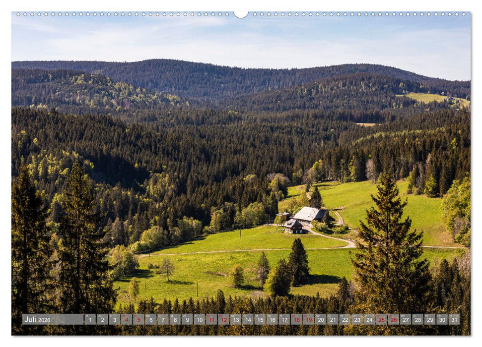Ein Jahr im Schwarzwald (CALVENDO Premium Wandkalender 2026)