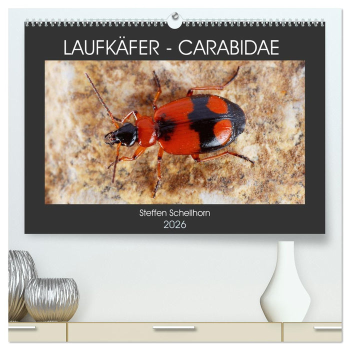 LAUFKÄFER - CARABIDAE (CALVENDO Premium Wandkalender 2026)