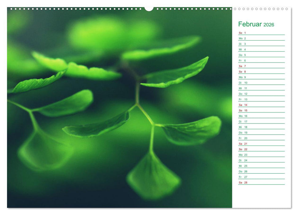 Grün Makrofotografien aus der grünen Welt der Pflanzen als Monatsplaner (CALVENDO Premium Wandkalender 2026)