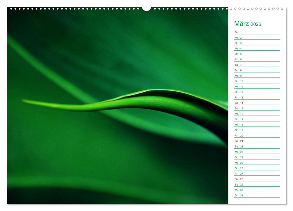Grün Makrofotografien aus der grünen Welt der Pflanzen als Monatsplaner (CALVENDO Premium Wandkalender 2026)