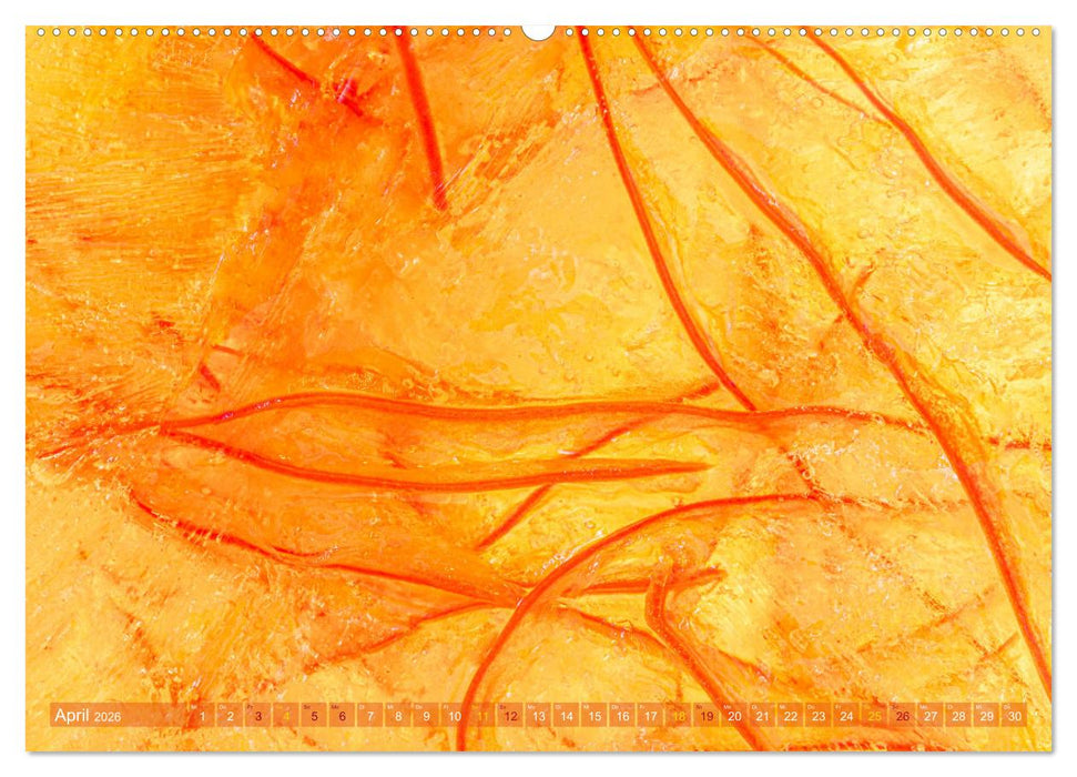 Würziges Eis (CALVENDO Premium Wandkalender 2026)