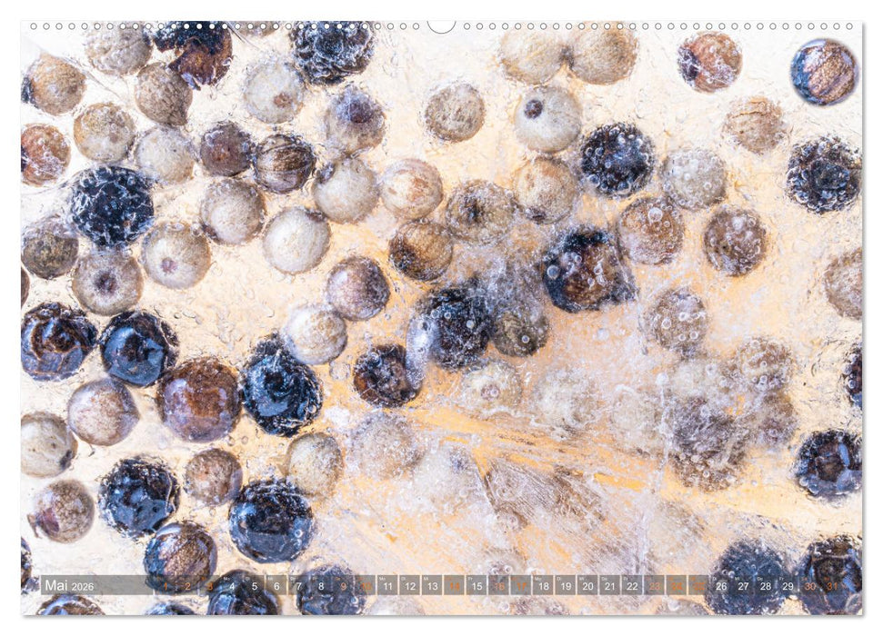 Würziges Eis (CALVENDO Premium Wandkalender 2026)