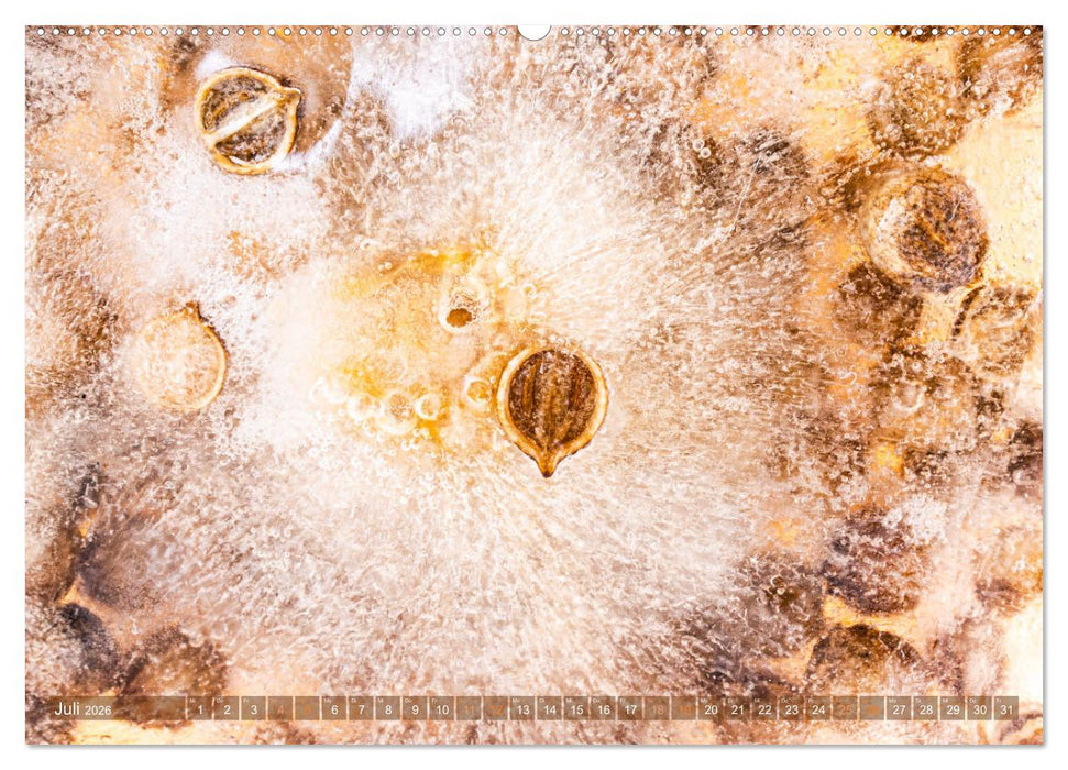 Würziges Eis (CALVENDO Premium Wandkalender 2026)