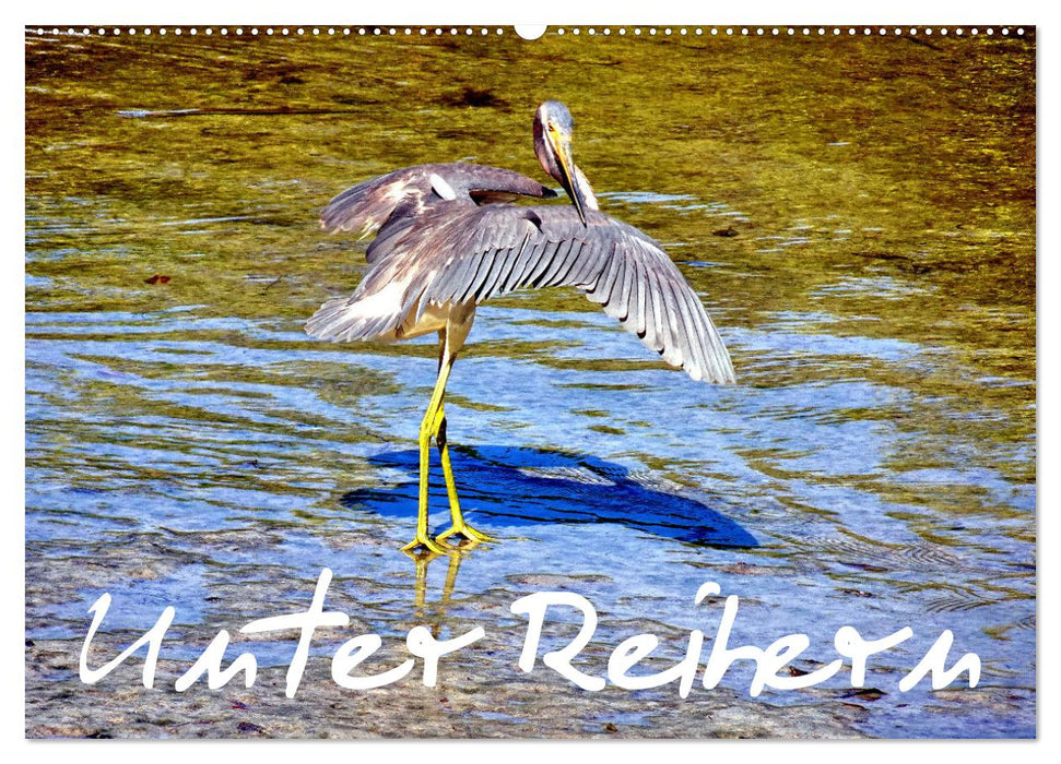 Unter Reihern (CALVENDO Wandkalender 2026)