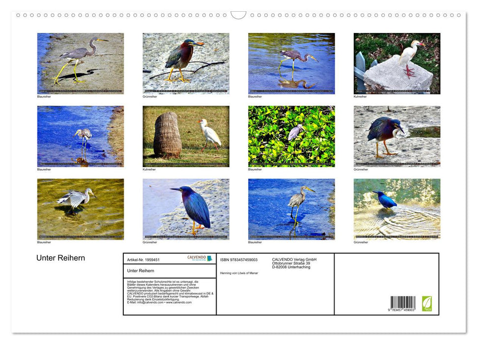 Unter Reihern (CALVENDO Wandkalender 2026)