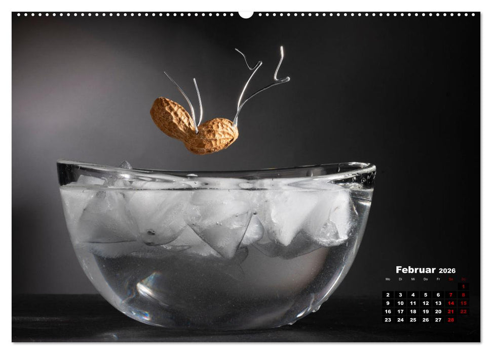 Erdnussmännchen Geschichten. (CALVENDO Premium Wandkalender 2026)