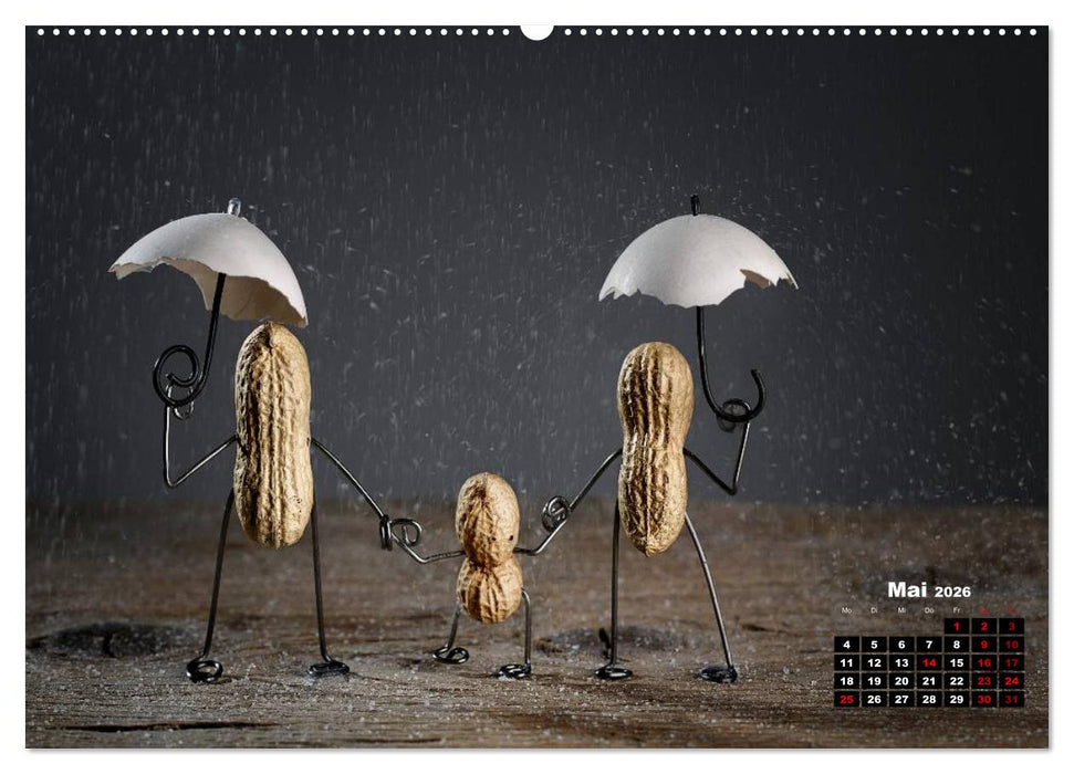 Erdnussmännchen Geschichten. (CALVENDO Premium Wandkalender 2026)