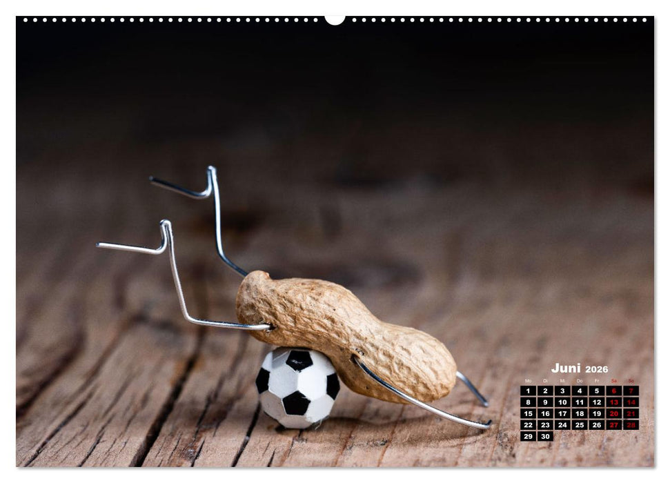 Erdnussmännchen Geschichten. (CALVENDO Premium Wandkalender 2026)