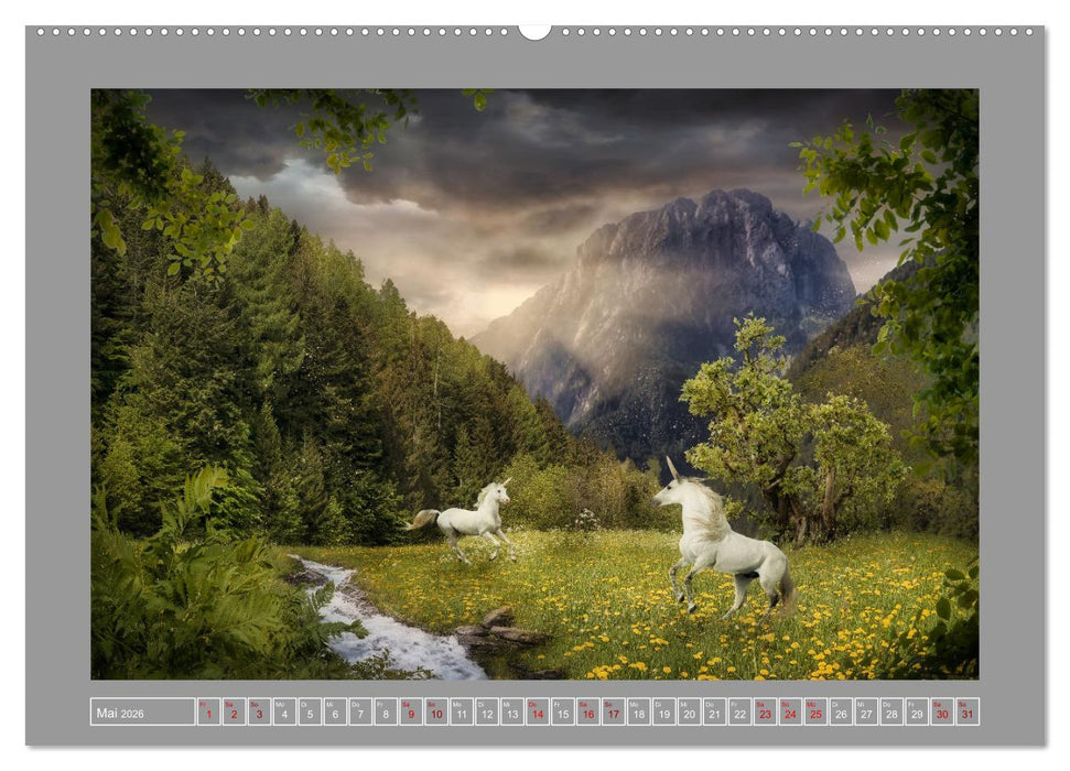 Zeit der Einhörner (CALVENDO Premium Wandkalender 2026)