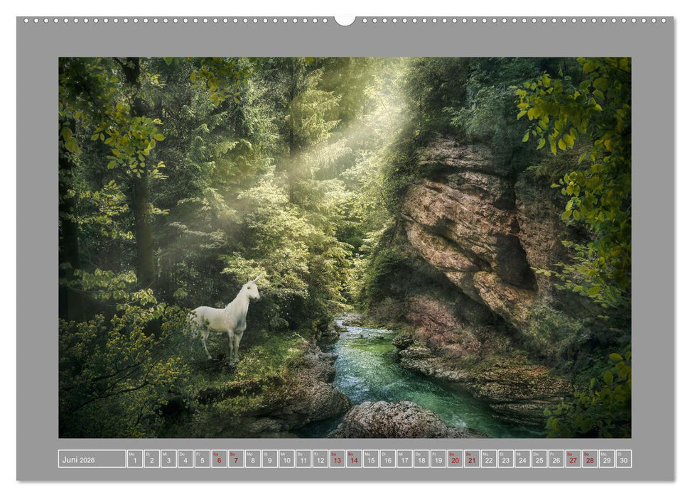 Zeit der Einhörner (CALVENDO Premium Wandkalender 2026)