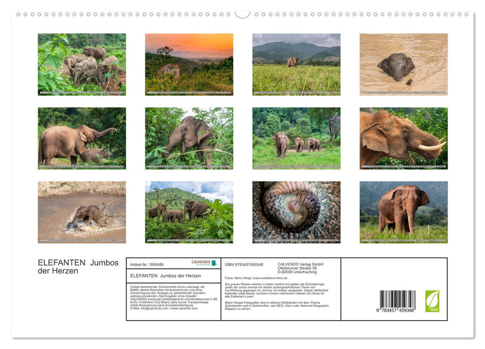 ELEFANTEN Jumbos der Herzen (CALVENDO Premium Wandkalender 2026)