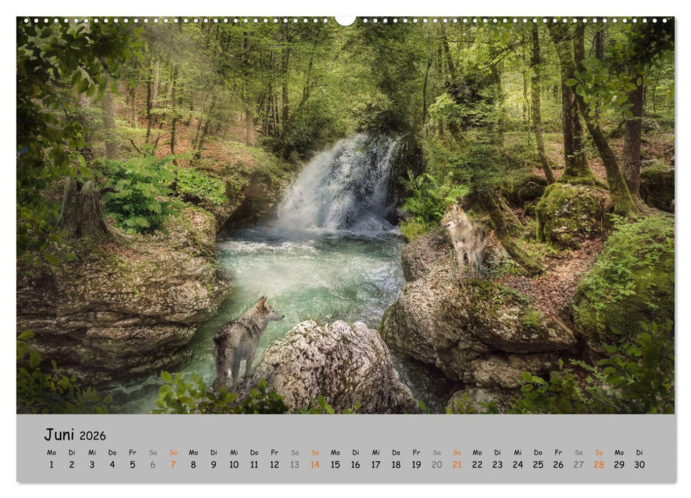 Der lange Weg der Wölfe (CALVENDO Premium Wandkalender 2026)