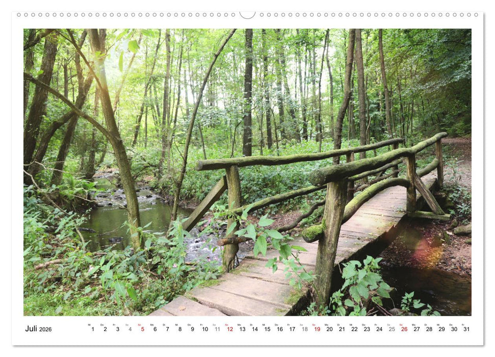 Mein Sehnsuchtsort, der heimische Wald (CALVENDO Premium Wandkalender 2026)