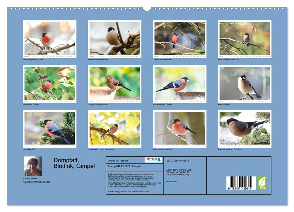 Dompfaff, Blutfink, Gimpel (CALVENDO Premium Wandkalender 2026)