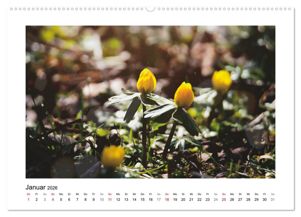 Mein Sehnsuchtsort, der Garten (CALVENDO Premium Wandkalender 2026)