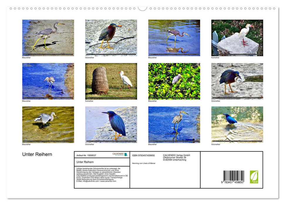 Unter Reihern (CALVENDO Premium Wandkalender 2026)