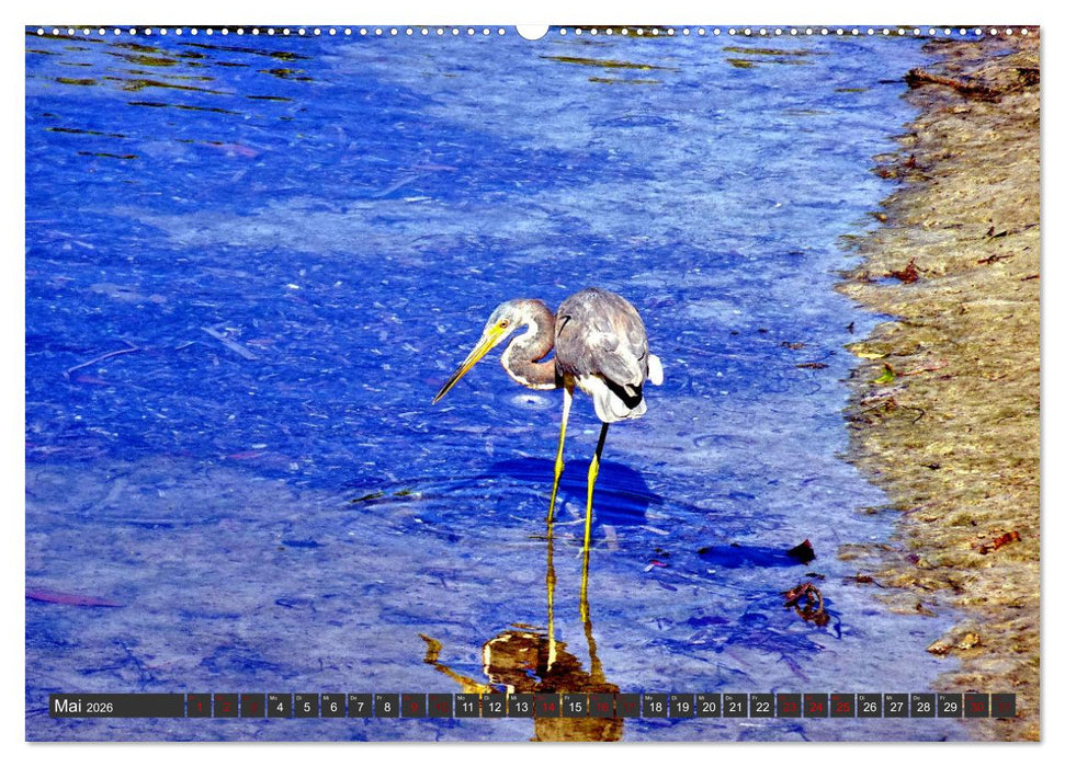 Unter Reihern (CALVENDO Premium Wandkalender 2026)
