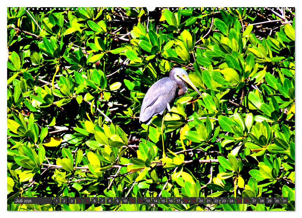 Unter Reihern (CALVENDO Premium Wandkalender 2026)