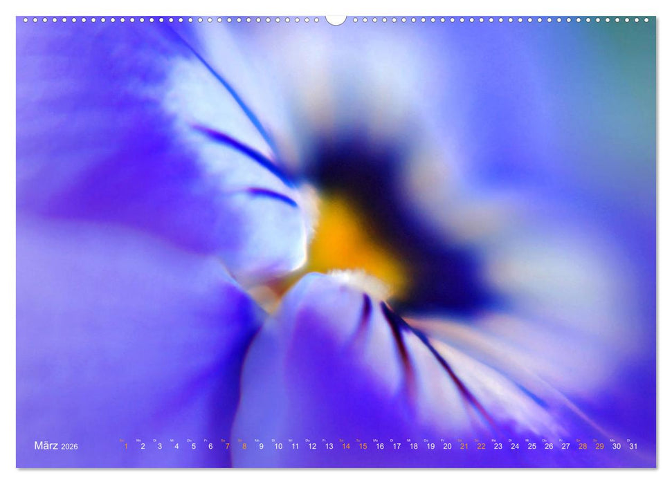 DEEP INSIDE - Blütenmakros (CALVENDO Premium Wandkalender 2026)