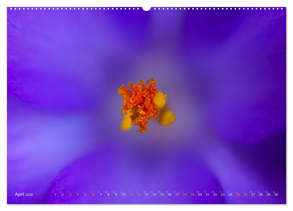 DEEP INSIDE - Blütenmakros (CALVENDO Premium Wandkalender 2026)