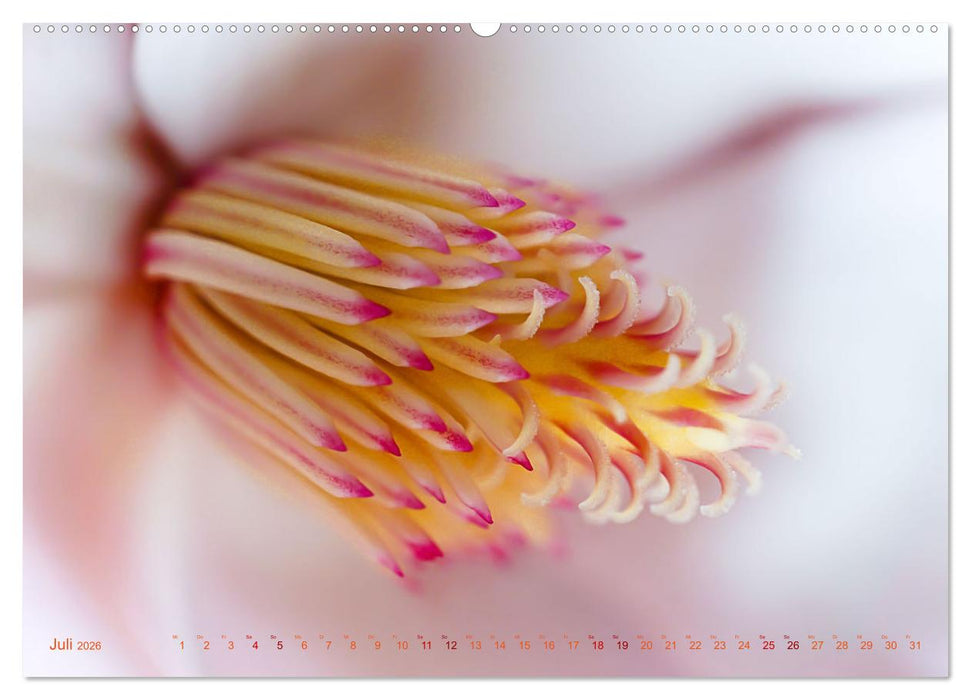 DEEP INSIDE - Blütenmakros (CALVENDO Premium Wandkalender 2026)