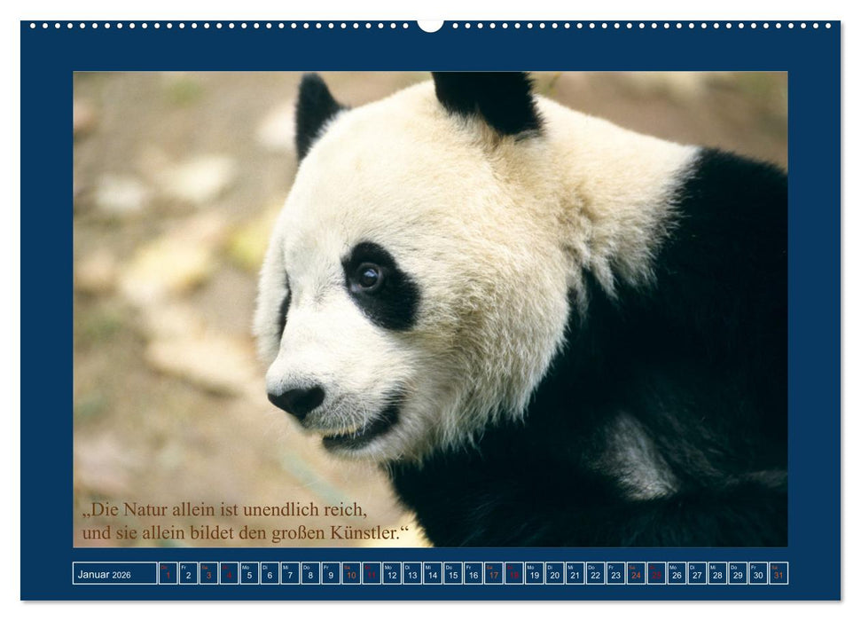 Tibetische Reise mit Zitaten von Johann Wolfgang von Goethe (CALVENDO Premium Wandkalender 2026)